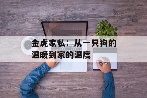 金虎家私：从一只狗的温暖到家的温度-第1张图片-