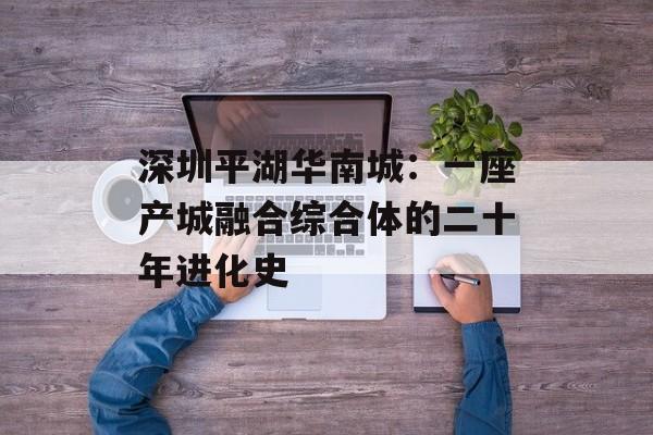 深圳平湖华南城：一座产城融合综合体的二十年进化史-第1张图片-