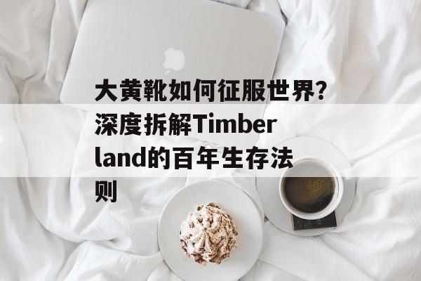 大黄靴如何征服世界？深度拆解Timberland的百年生存法则-第1张图片-