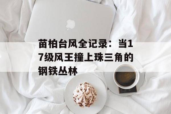 苗柏台风全记录：当17级风王撞上珠三角的钢铁丛林-第1张图片-