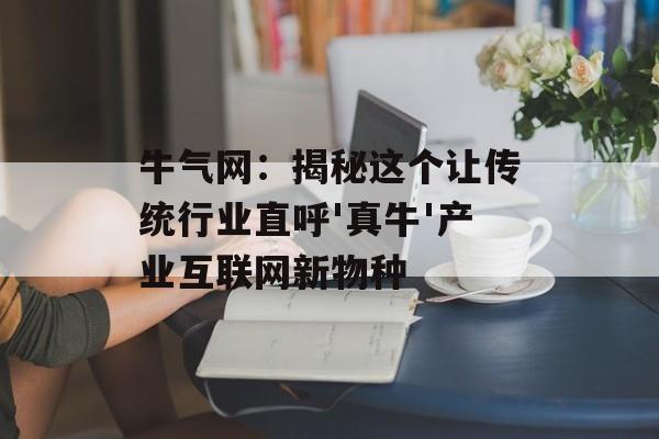 牛气网：揭秘这个让传统行业直呼'真牛'产业互联网新物种-第1张图片-