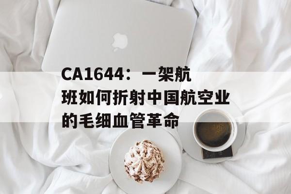 CA1644：一架航班如何折射中国航空业的毛细血管革命-第1张图片-