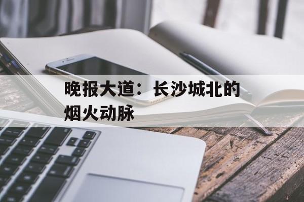 晚报大道：长沙城北的烟火动脉-第1张图片-