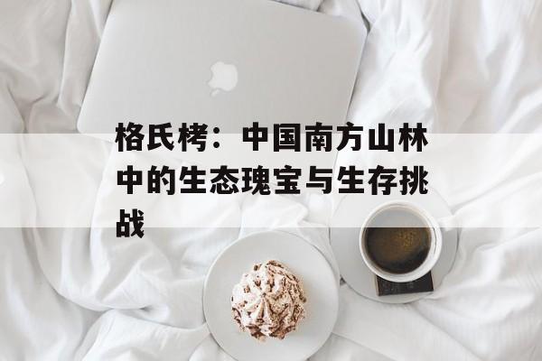 格氏栲：中国南方山林中的生态瑰宝与生存挑战-第1张图片-