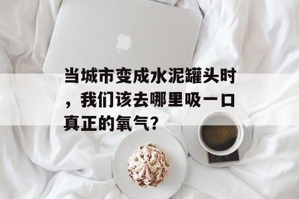 当城市变成水泥罐头时，我们该去哪里吸一口真正的氧气？-第1张图片-