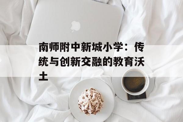 南师附中新城小学：传统与创新交融的教育沃土-第1张图片-